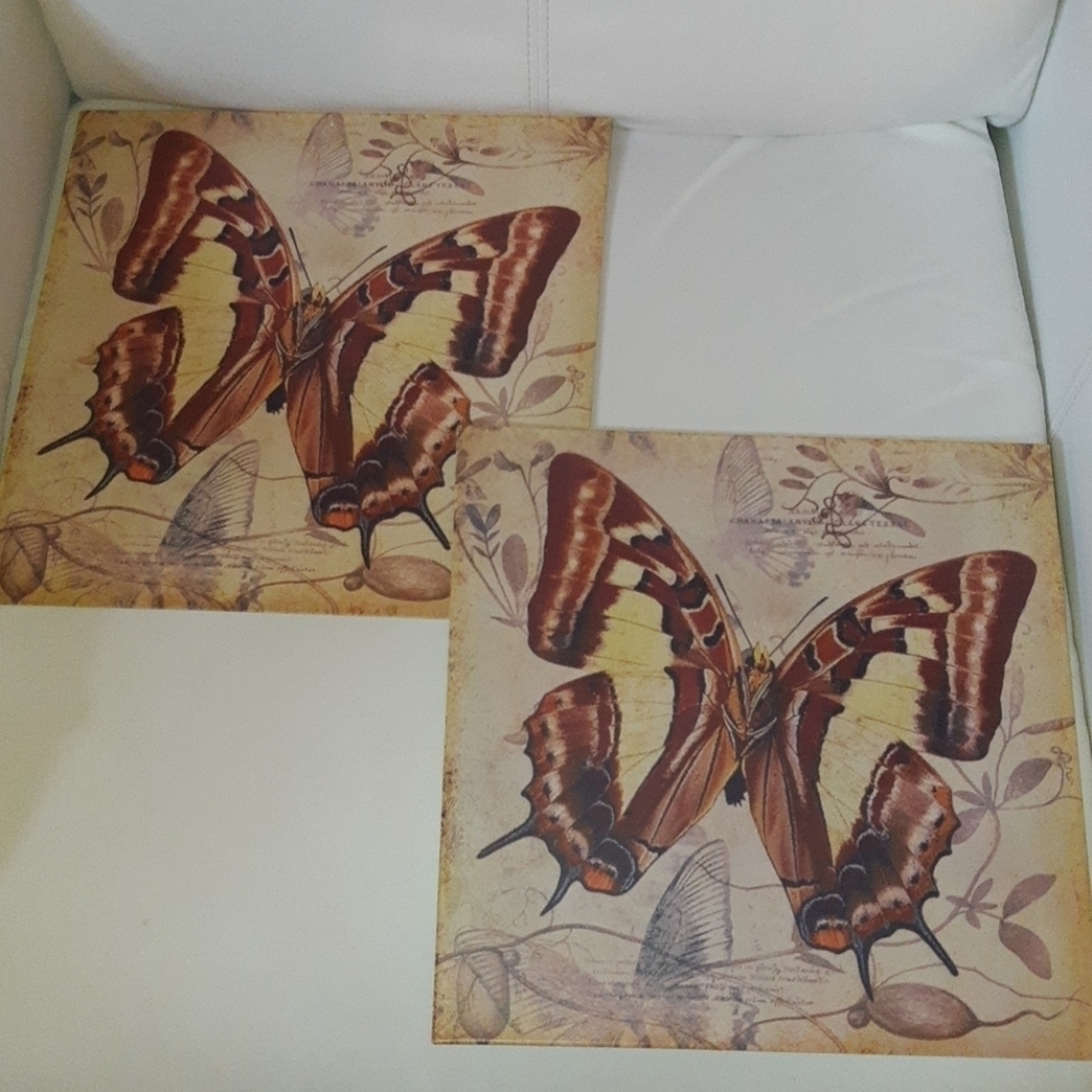 TIN Butterfly decor